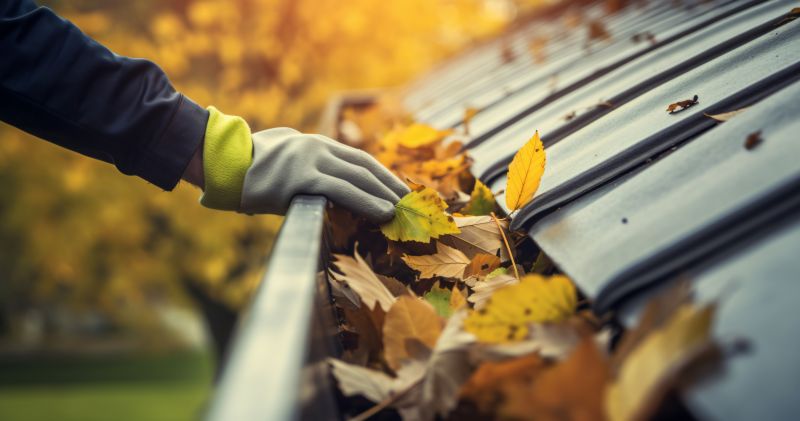Gutter Cleaning in Fall