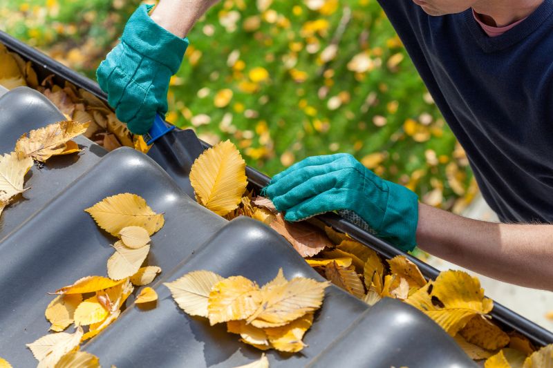 Best Time to Hire Gutter Services