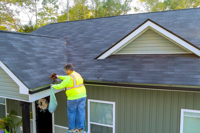 Preventative Gutter Care